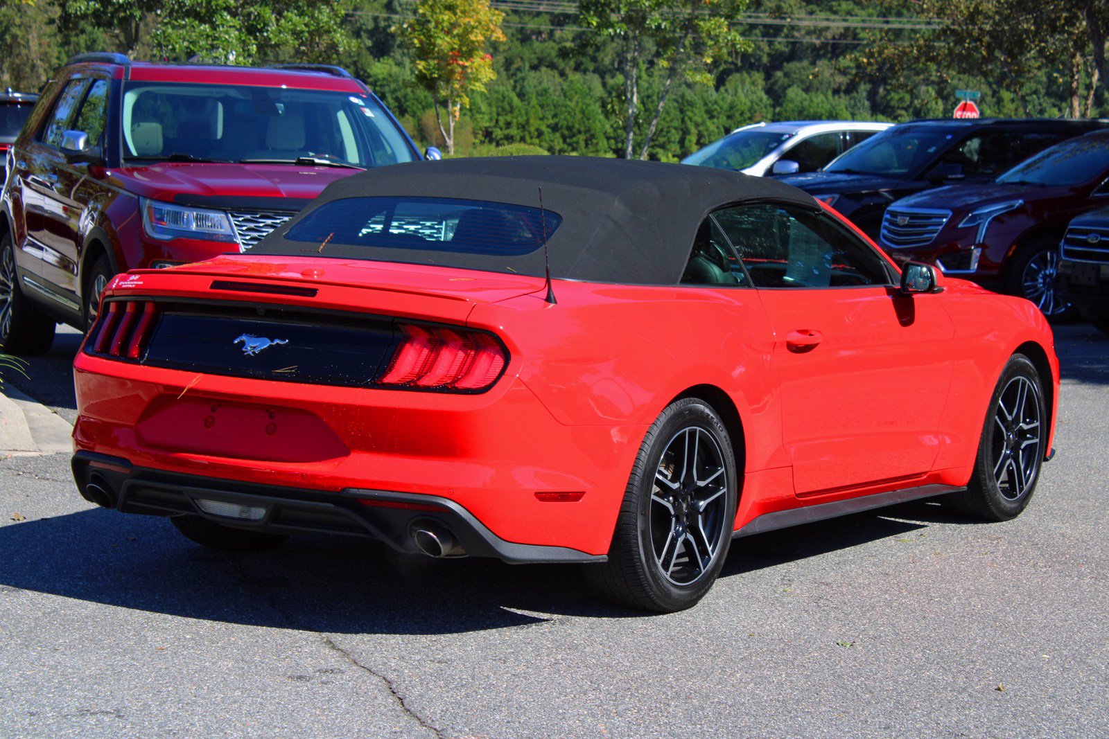 Pre-Owned 2019 Ford Mustang EcoBoost Premium RWD 2D Convertible