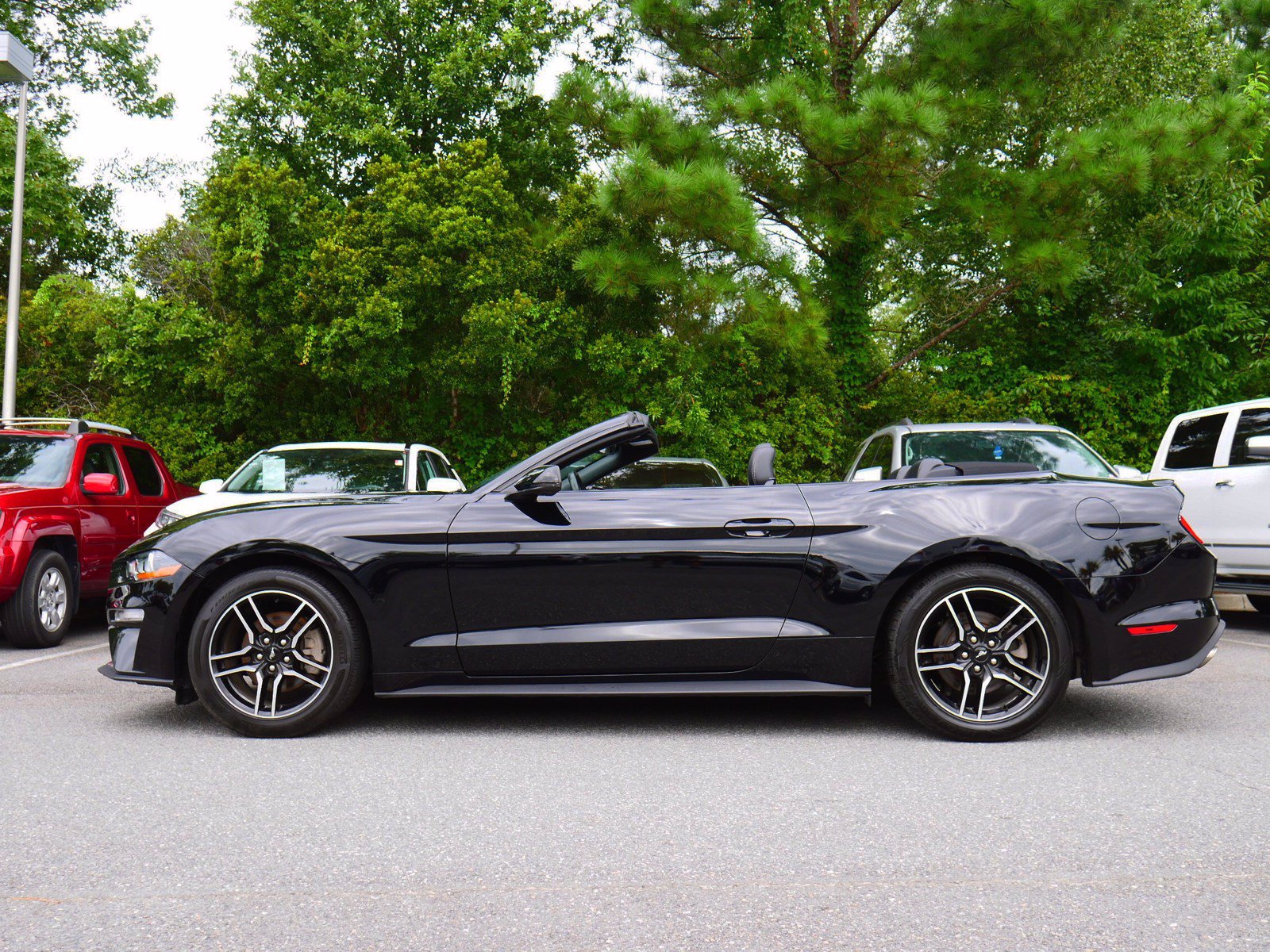 Pre Owned 2019 Ford Mustang Ecoboost Premium Rwd 2d Convertible